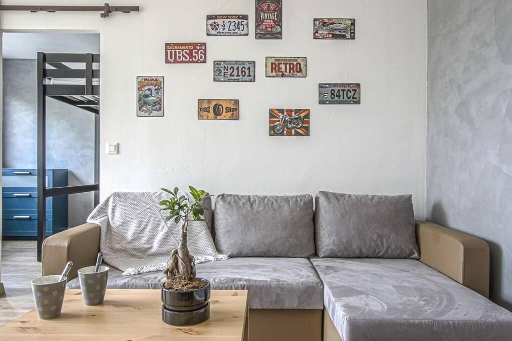 3 - 6 Personnes - Memorial - Universite Apartment *